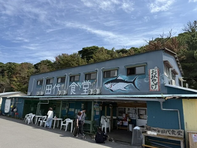 田代食堂 - 石巻市その他（海鮮）の写真