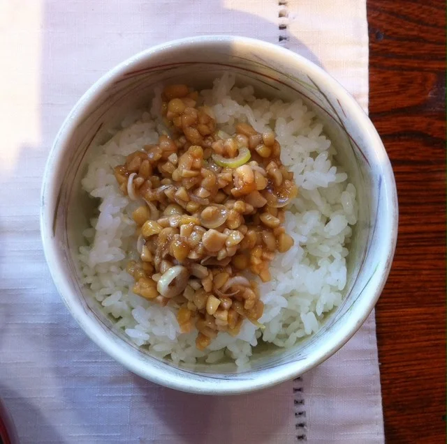 かくのだて温泉 町宿 ねこの鈴 - 角館（旅館・民宿）の写真