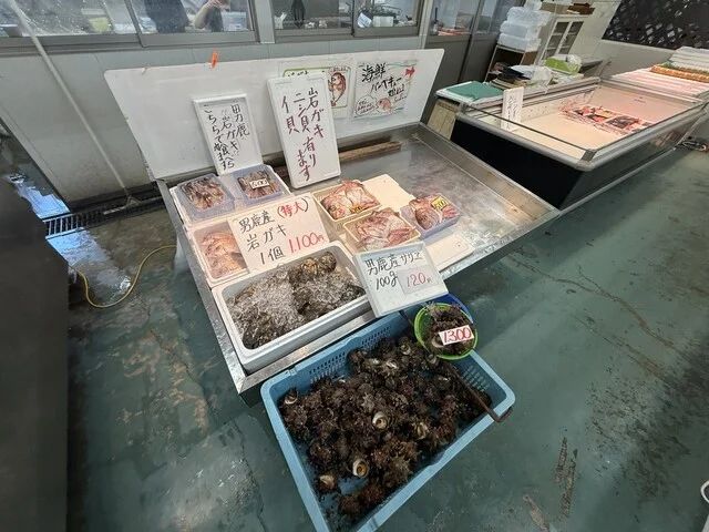 男鹿海鮮市場 - 男鹿（その他）の写真
