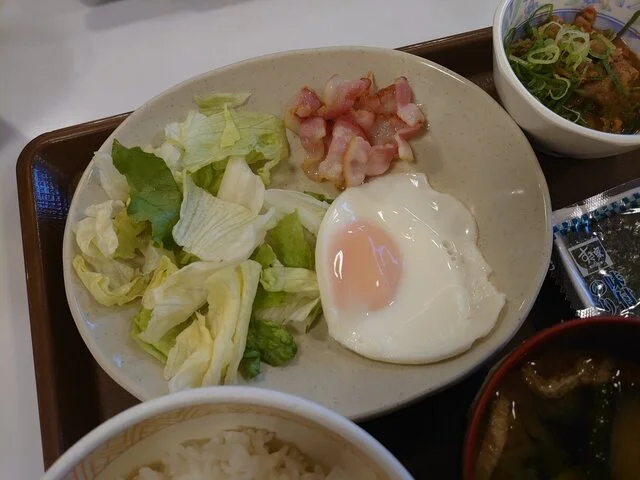 すき家  一関山目店 - 山ノ目（牛丼）の写真