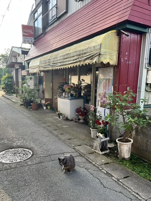 喫茶とやきそば ふじた（キッサトヤキソバフジタ） - 醍醐（焼きそば）の写真