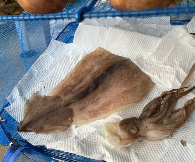 とれとれ市場 マルヨシ水産 - 仙北町（その他）の写真