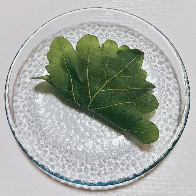 乃し梅本舗 佐藤屋 七日町店 - 山形（和菓子）の写真