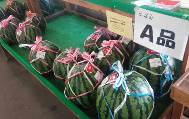 伊佐沢共同直売所 ふれあい市 - 南長井（その他）の写真