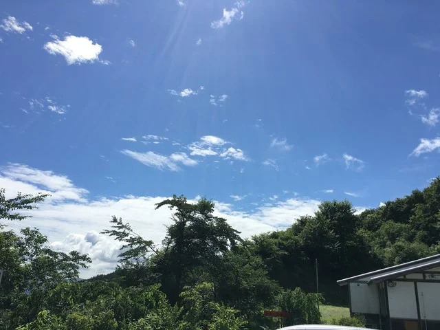 お食事処玉山 - 竹駒（食堂）の写真