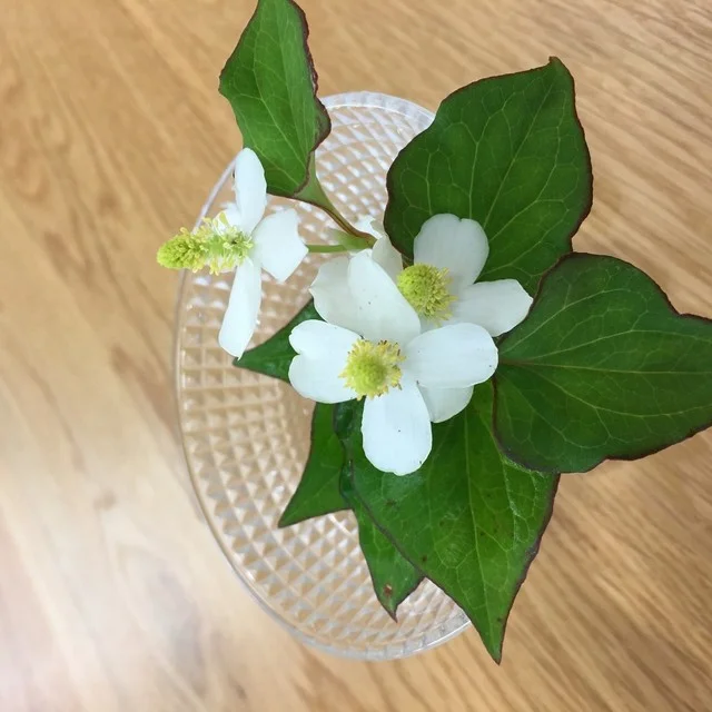 お食事処玉山 - 竹駒（食堂）の写真