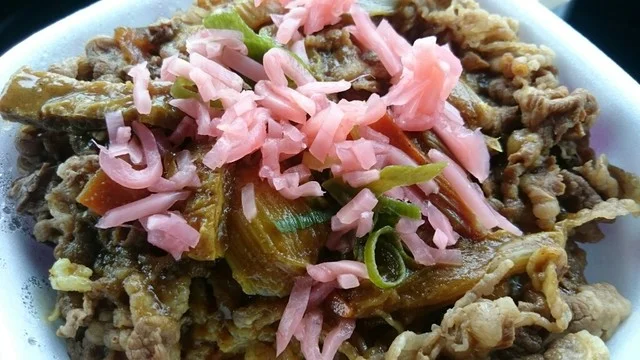 すき家 105号大仙北長野店 - 羽後長野（牛丼）の写真