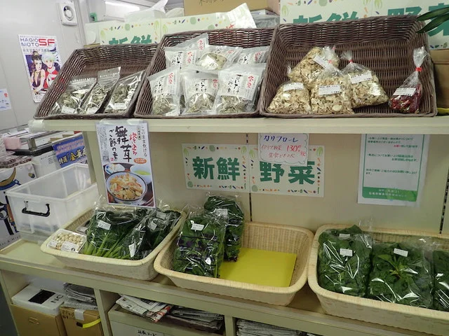 ロマン海遊２１ - 石巻（その他）の写真