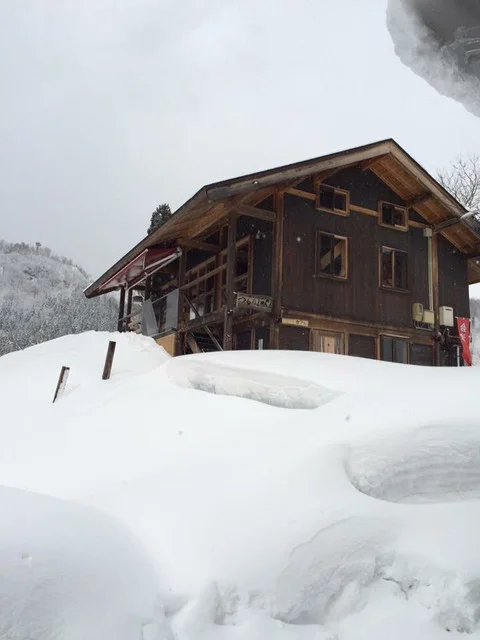 つるのIORIカフェ（ツルノイオリカフェ） - 早戸（カフェ）の写真