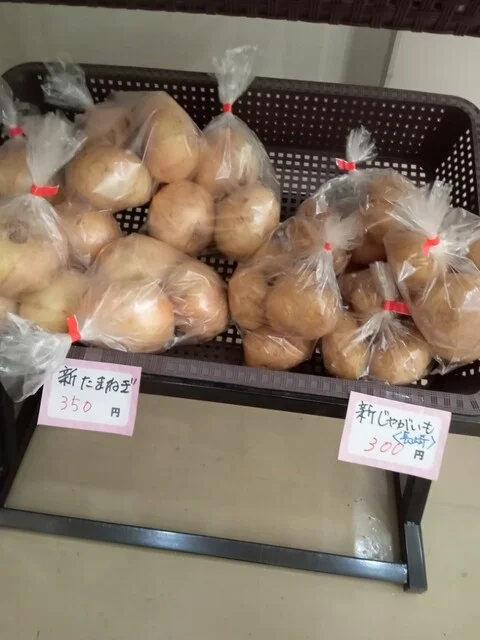 黄金川温泉（コガネガワオンセン） - 東白石（その他）の写真