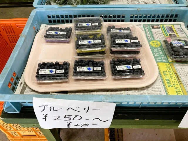 蔵王爽清市場 - 蔵王町その他（その他）の写真