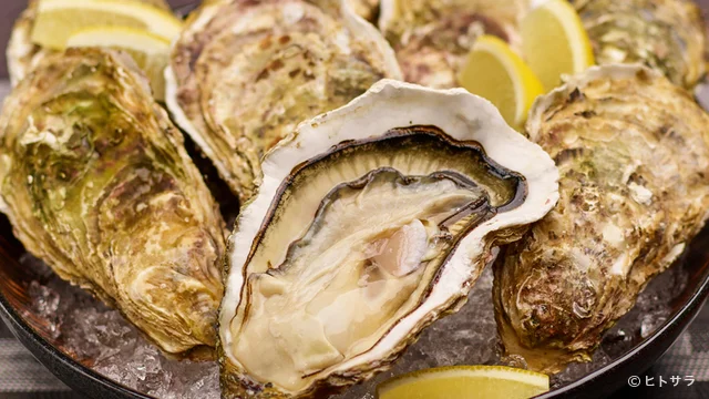 オイスターダイニング せるふぃっしゅ - 秋田（居酒屋）の写真