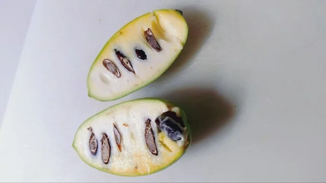 道の駅十文字 - 十文字（道の駅）の写真