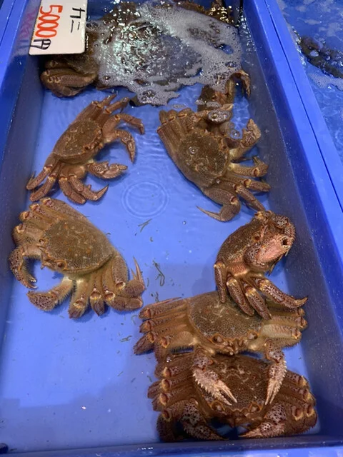 東鮮魚店 - 釜石（その他）の写真