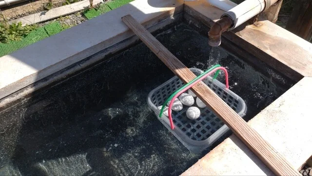 岩瀬商店 - 米沢市その他（コンビニ・スーパー）の写真