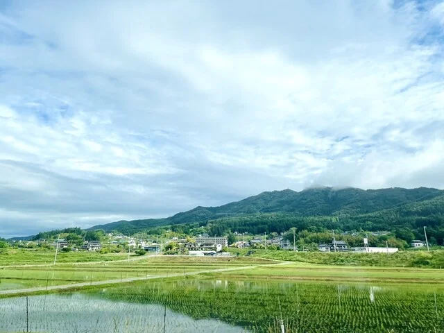 工房めぐ海 - 小友（郷土料理）の写真