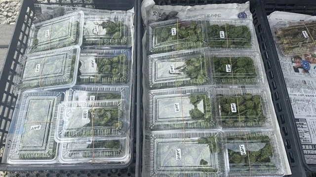 川井食堂 - 米沢（ラーメン）の写真