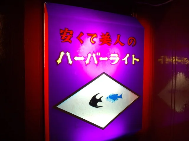 ハーバーライト - 能代（バー）の写真