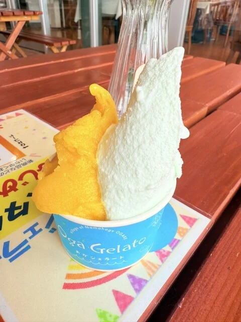 おがジェラート（Oga Gelato） - 男鹿（ジェラート・アイスクリーム）の写真
