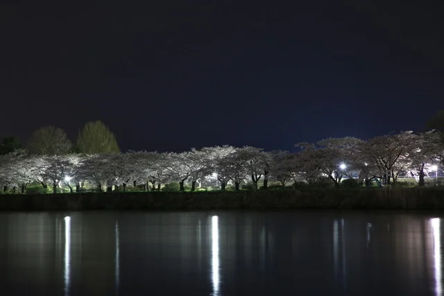 四季乃味 枕流亭（ちんりゅうてい/chinryutei） - 北上（日本料理）の写真