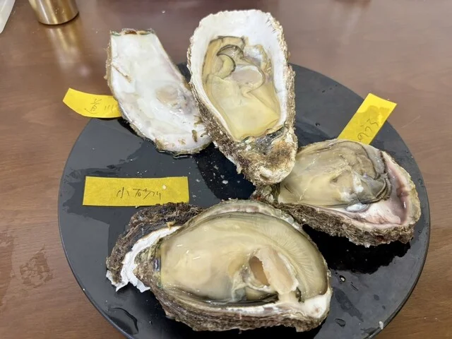 はまなす物産センター（【旧店名】金浦物産センター） - 金浦（その他）の写真