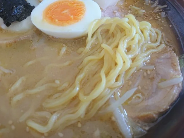 島っ子ラーメン - 渡波（ラーメン）の写真