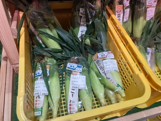 道の駅だいとう - 摺沢（道の駅）の写真