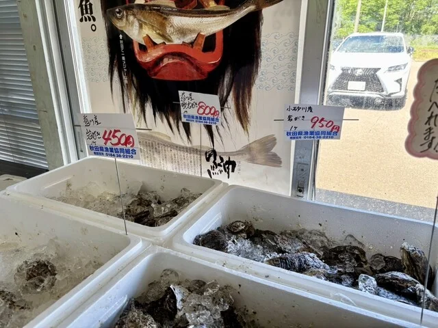 はまなす物産センター（【旧店名】金浦物産センター） - 金浦（その他）の写真