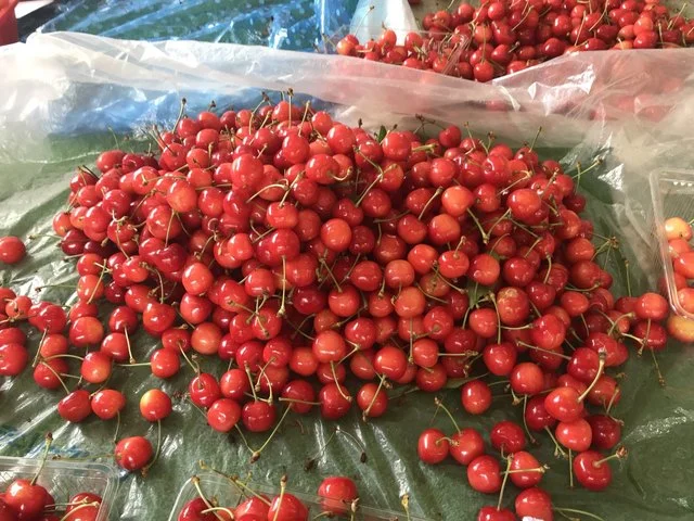 中根農園 - 西米沢（その他）の写真