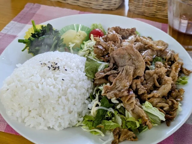 パピコ - 金田一温泉（食堂）の写真