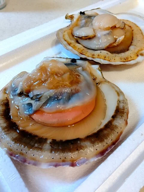 与助（YOSUKE） - 平田（海鮮）の写真