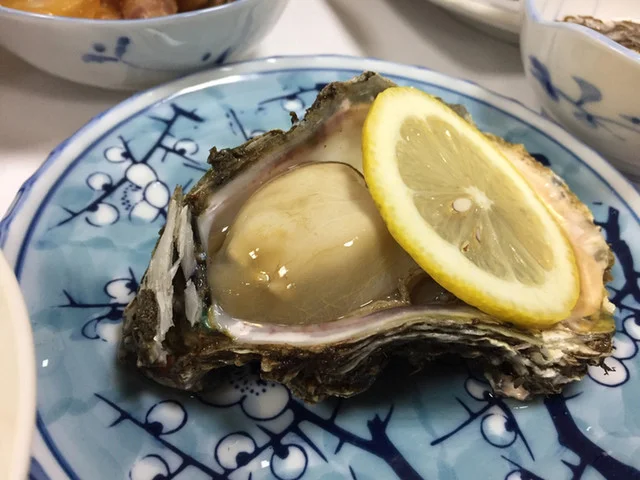 清水屋旅館 - 小砂川（旅館・民宿）の写真