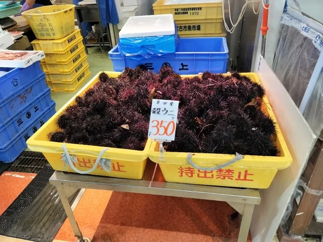 三上商店 - 宮古（その他）の写真