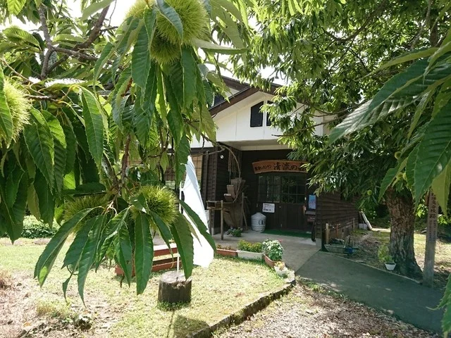 清流の森 - 秋田（レストラン）の写真