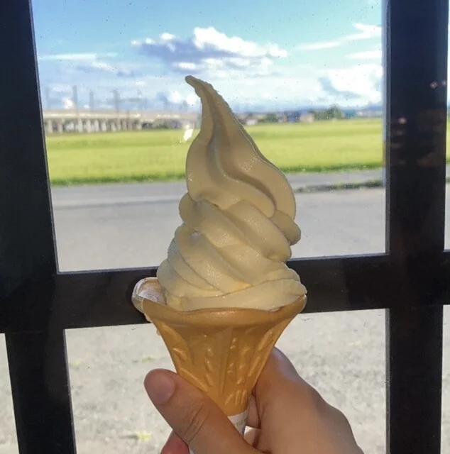 ソフトハウス - 水沢江刺（ジェラート・アイスクリーム）の写真