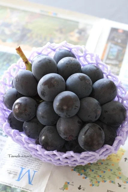 喜多屋果実店 - 米沢（ジェラート・アイスクリーム）の写真