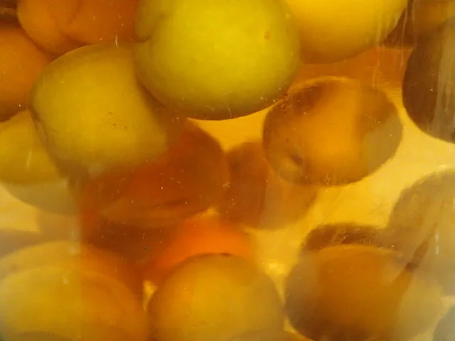 喜久水庵 イオンモール石巻店 - 石巻あゆみ野（カフェ）の写真