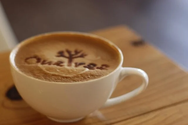 OneTreeCafe（ワンツリーカフェ） - 盛（カフェ）の写真