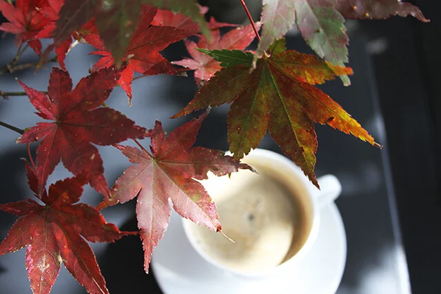 ユニテカフェ - 山形市その他（カフェ）の写真
