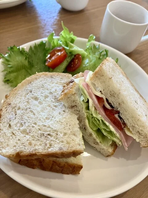 居酒屋さるーて - 鷹ノ巣（居酒屋）の写真