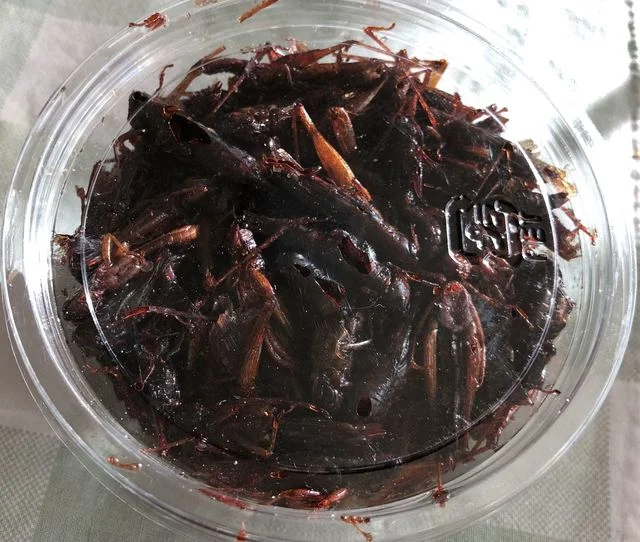 蔵王売店 - 白石（その他）の写真