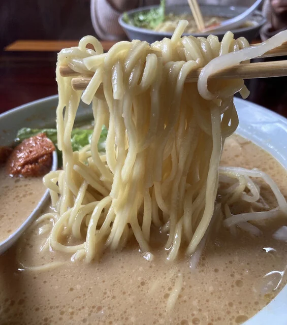 やなぎ茶屋 - 横倉（居酒屋）の写真