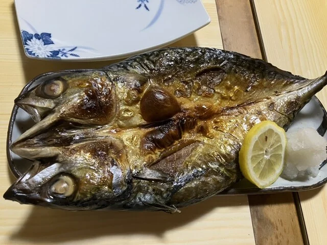 居酒屋いいの - 渡波（居酒屋）の写真