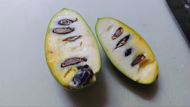 道の駅十文字 - 十文字（道の駅）の写真