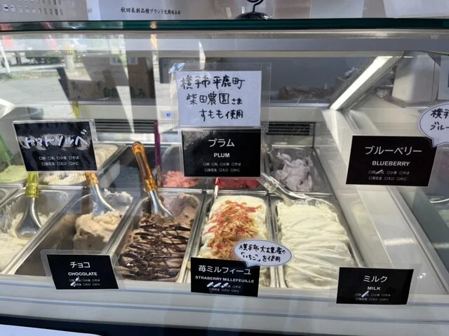 GELATERIA SHEETA（ジェラテリア シータ） - 横手（ジェラート・アイスクリーム）の写真