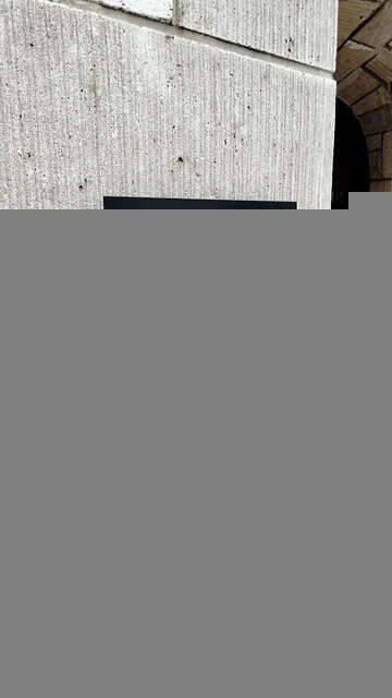 bijou ROOTS（ビジュールーツ） - 山形（バー）の写真