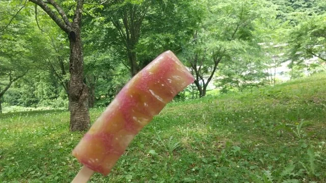 煉屋菓子舗 - 東大館（和菓子）の写真