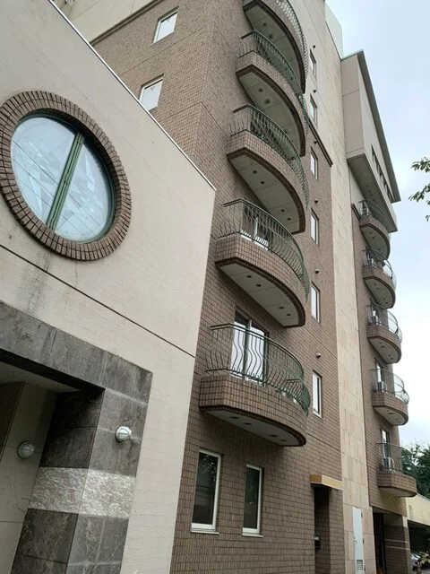 ラ・テラス - 小岩井（洋食）の写真