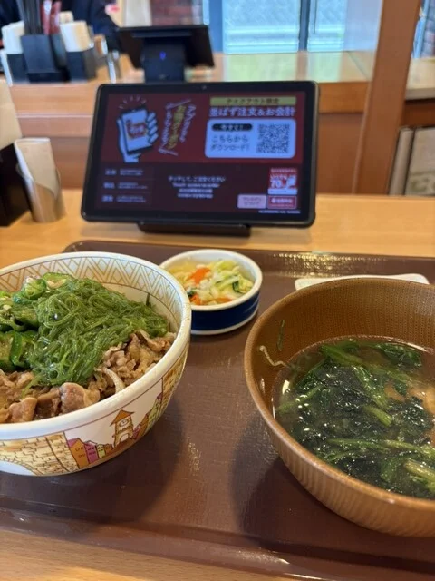 すき家 大船渡赤崎店 - 盛（牛丼）の写真