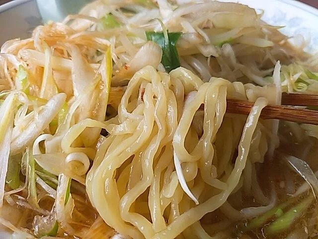 多満留食堂 - 里白石（食堂）の写真